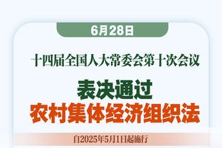 4胜4平！布莱顿近8场英超主场比赛保持不败